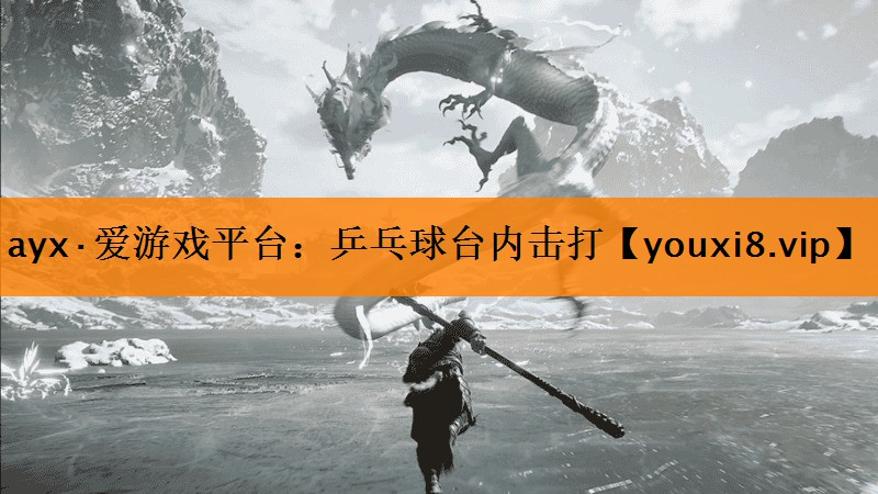 ayx·爱游戏平台：乒乓球台内击打