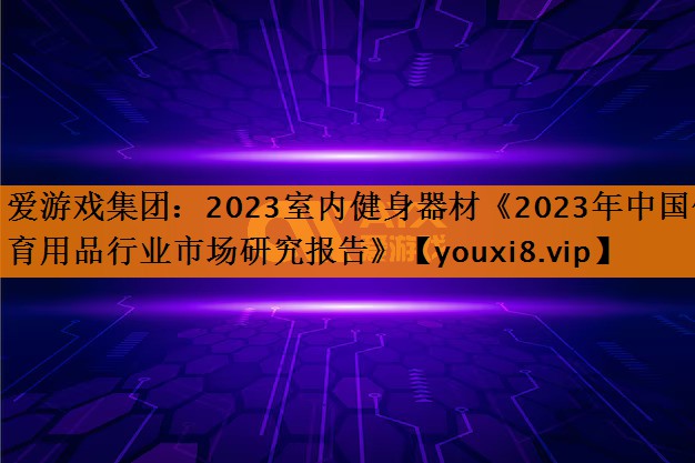 爱游戏集团：2023室内健身器材《2023年中国体育用品行业市场研究报告》