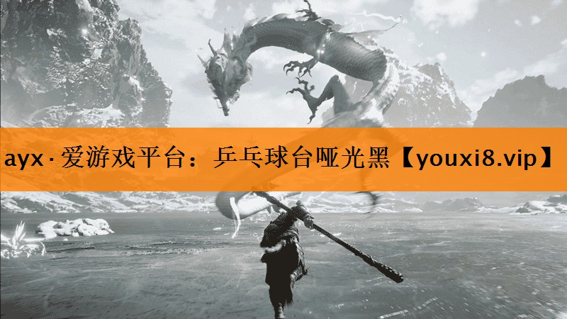 ayx·爱游戏平台：乒乓球台哑光黑