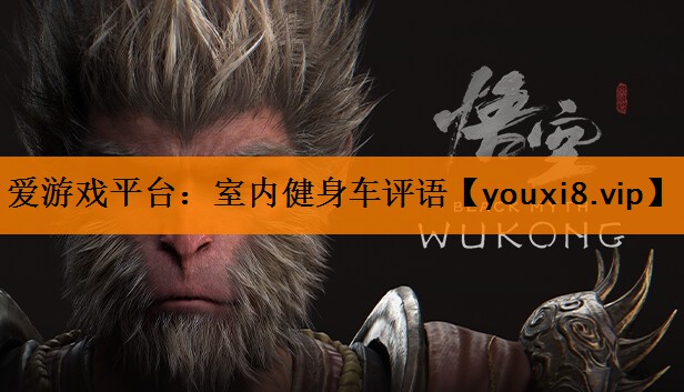 爱游戏平台：室内健身车评语