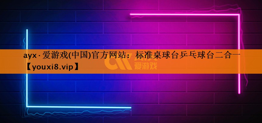 标准桌球台乒乓球台二合一