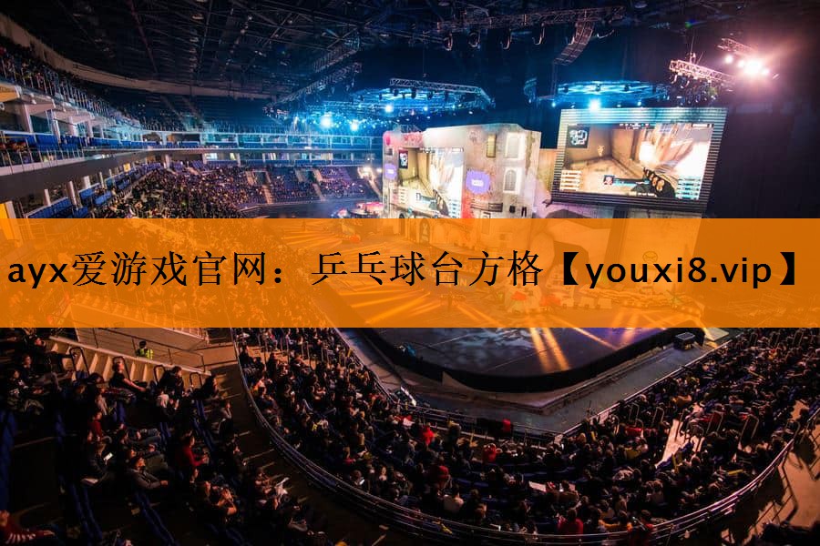 乒乓球台方格 乒乓球台方格
